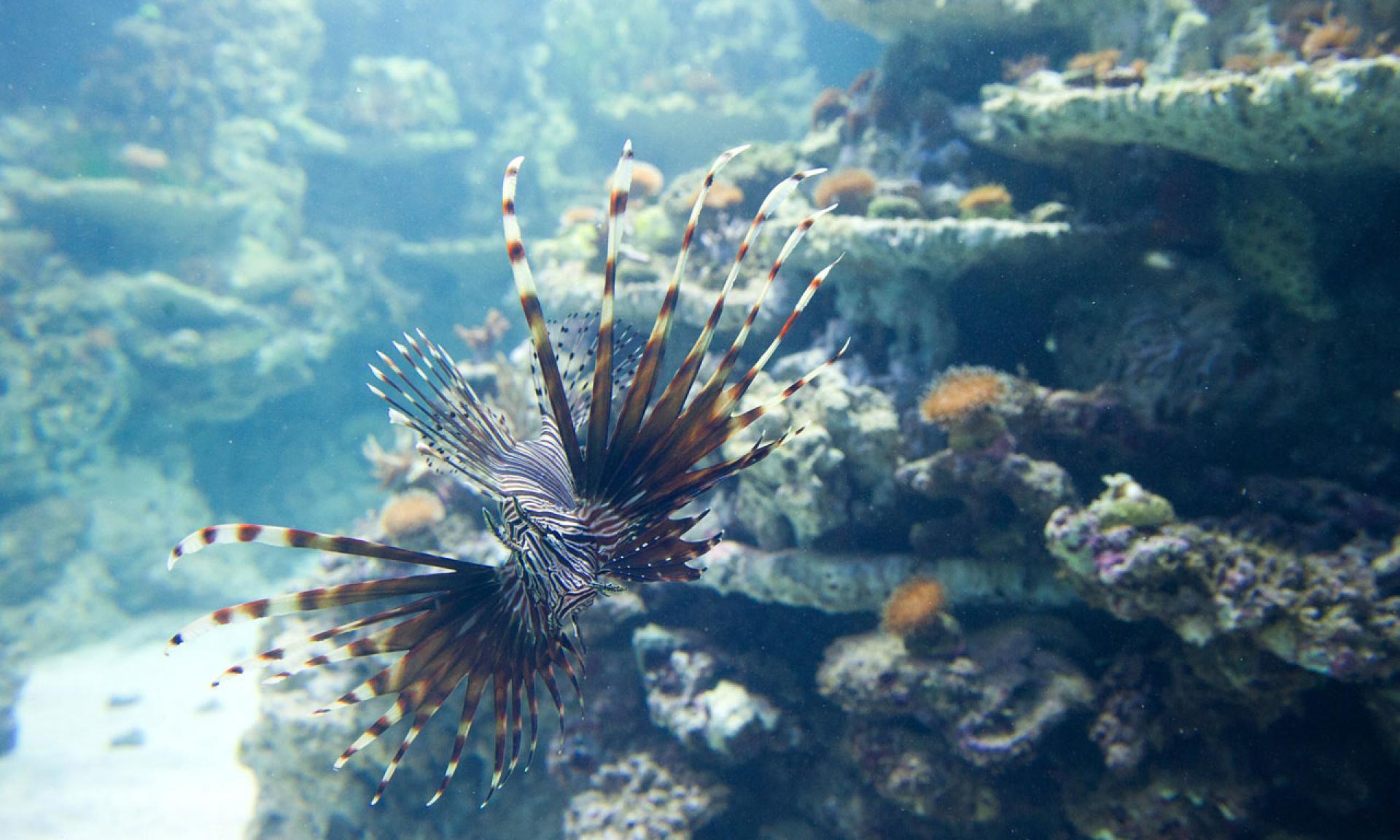 Zoo Zürich