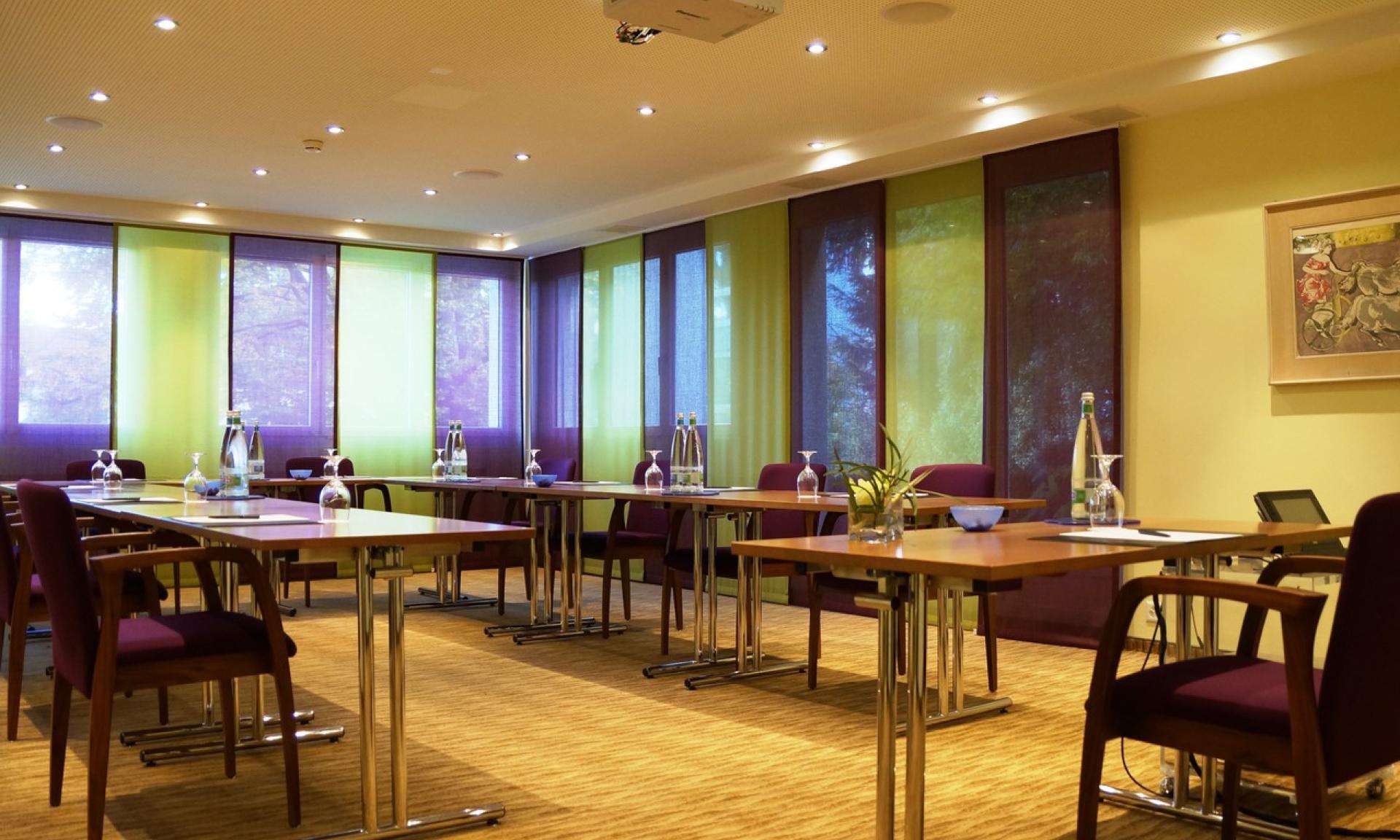 Hotel Engimatt - seminar room