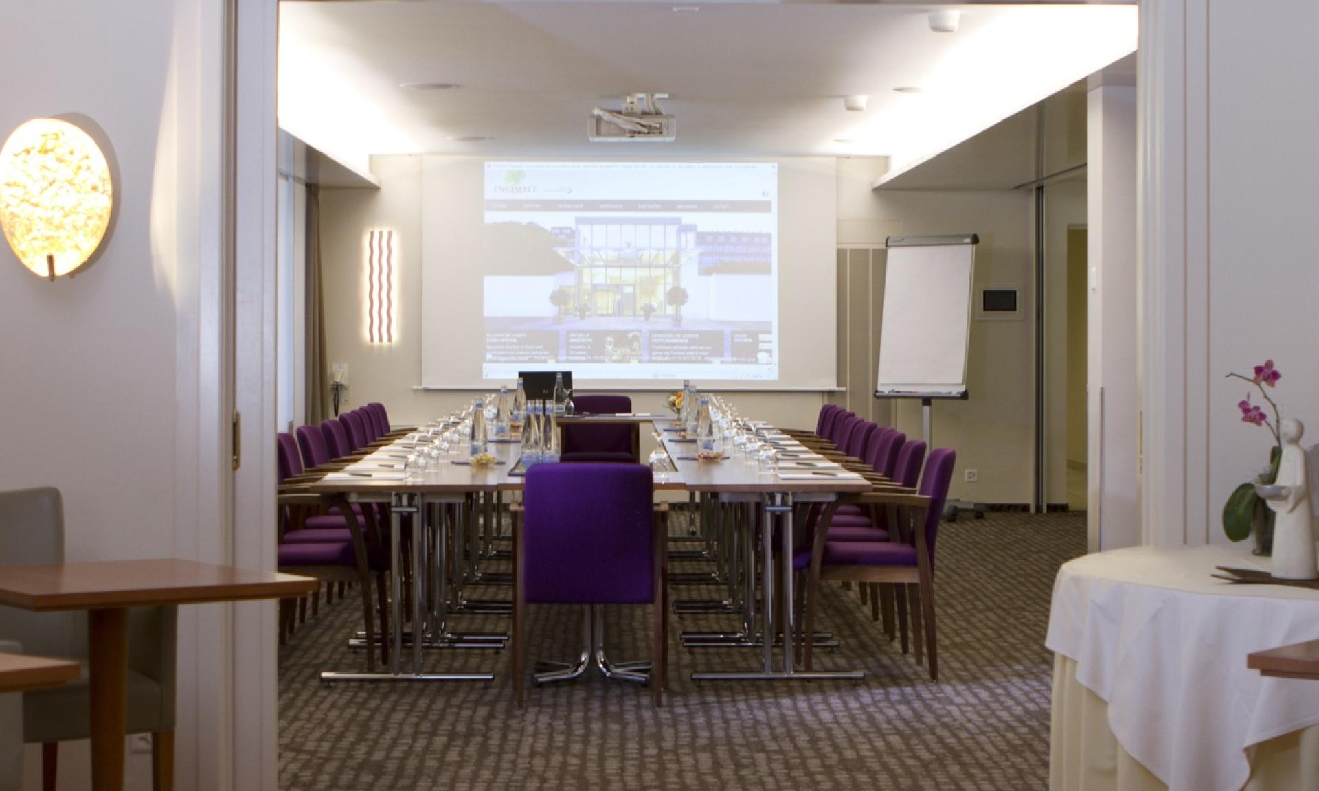 Hotel Engimatt - seminar room