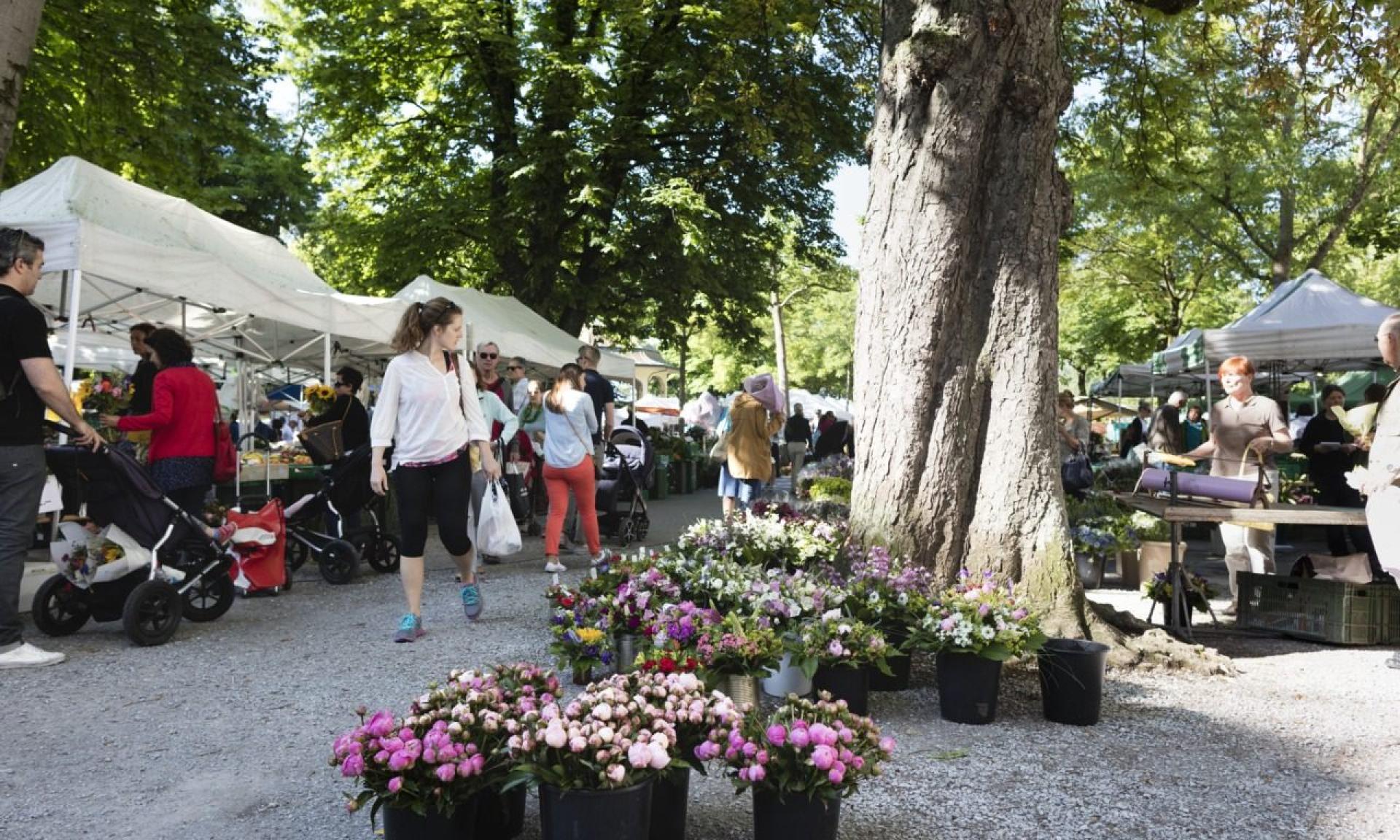 Mercato settimanale sulla Bürkliplatz, Zurigo