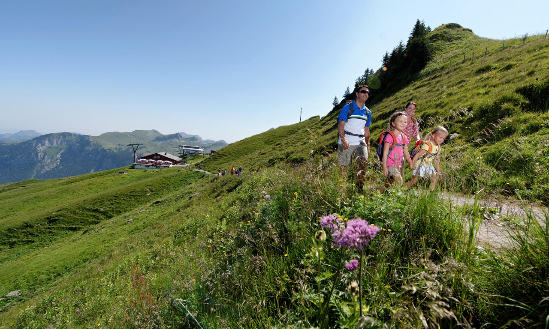 Hoch-Ybrig in Summer