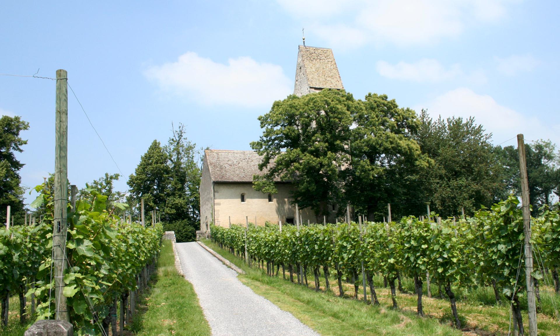 Ufnau Island, Church St. Peter and Paul