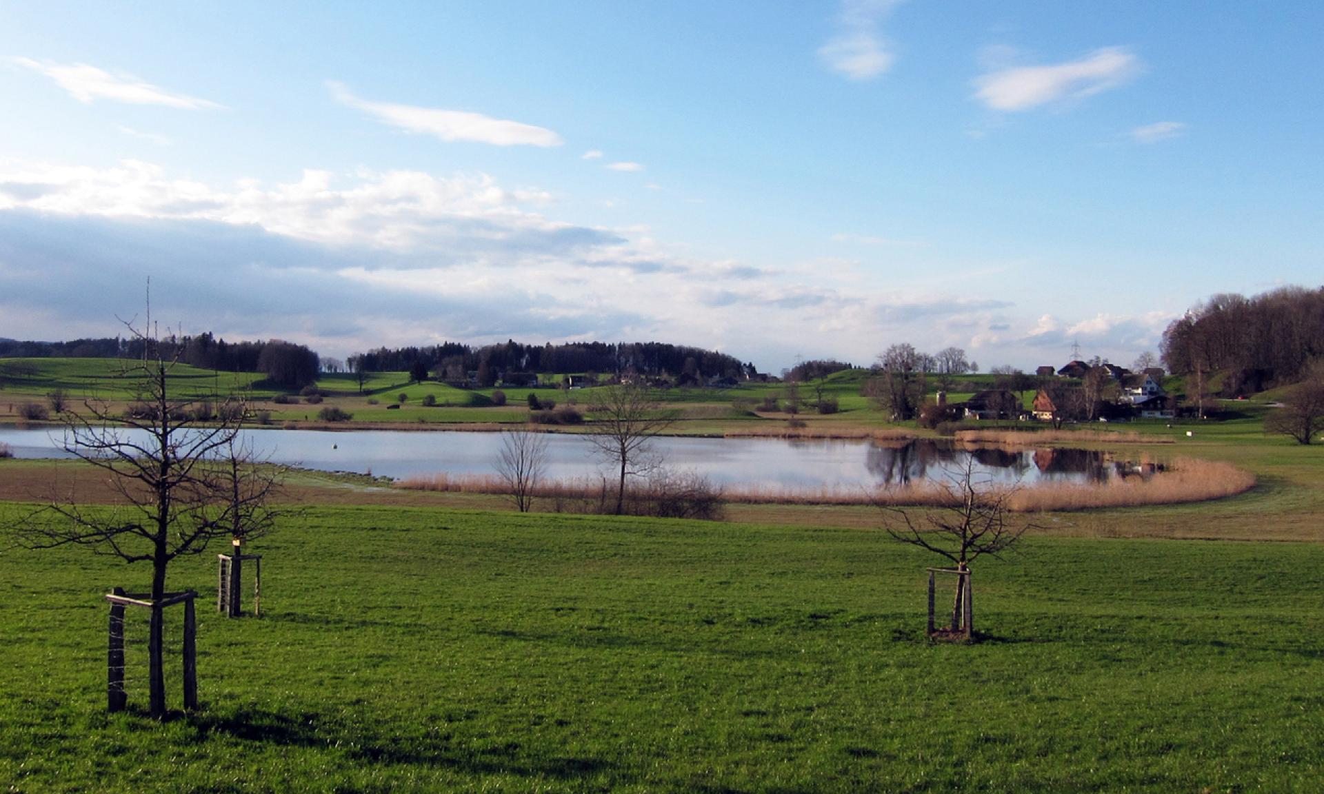 Lützelsee Lake near Hombrechtikon