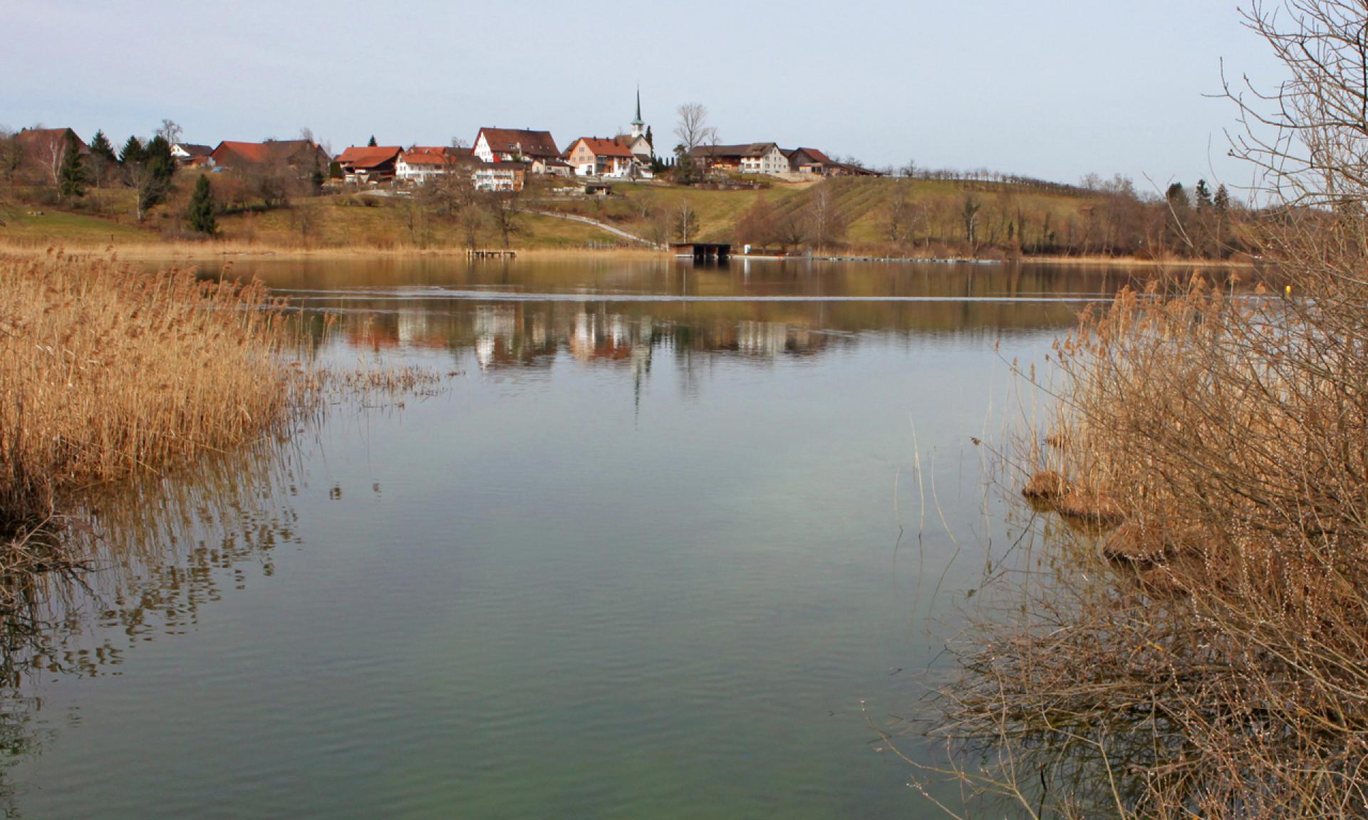 Pfäffikersee Lake in the Zürcher Oberland Region