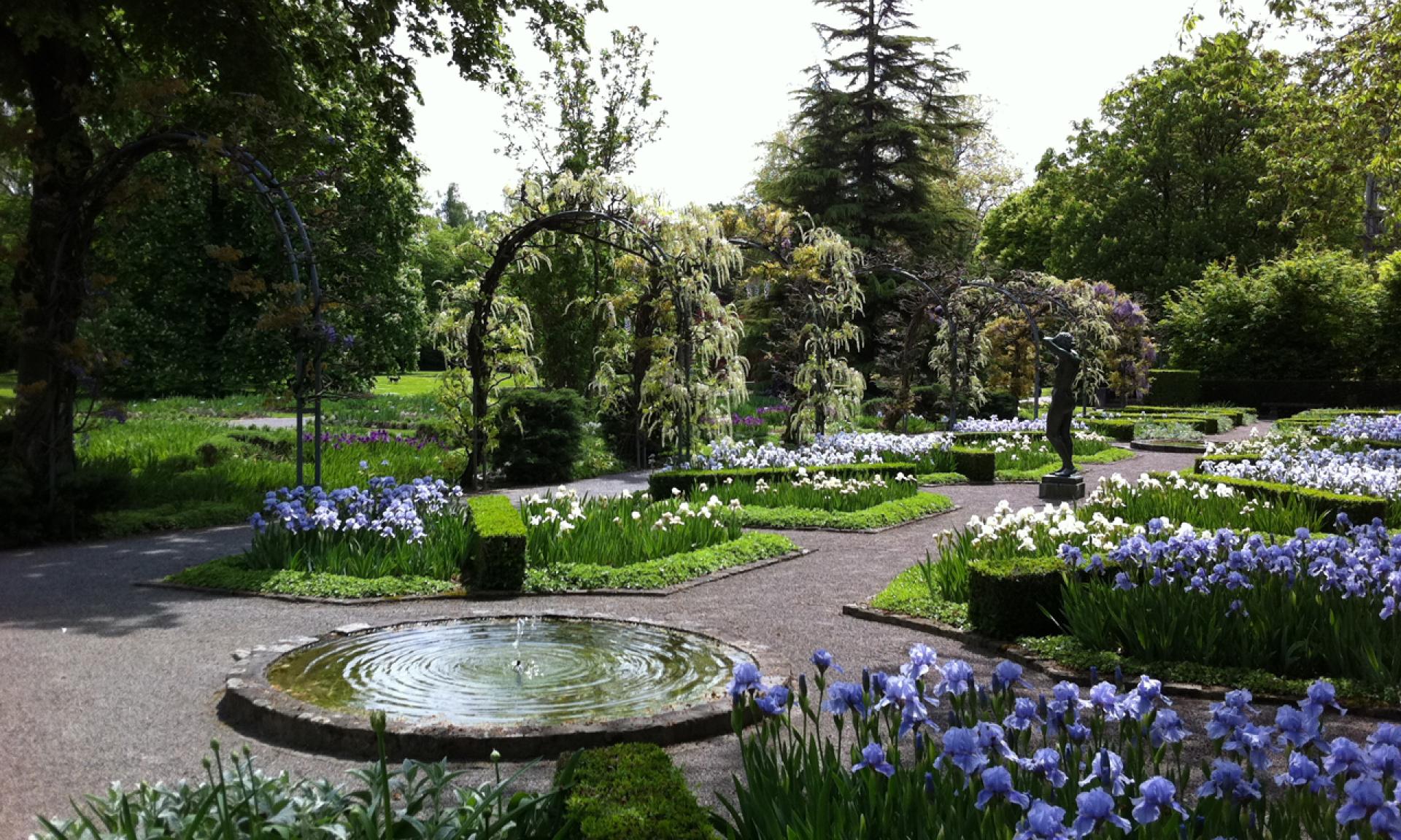 Blumen im Belvoirpark Zürich