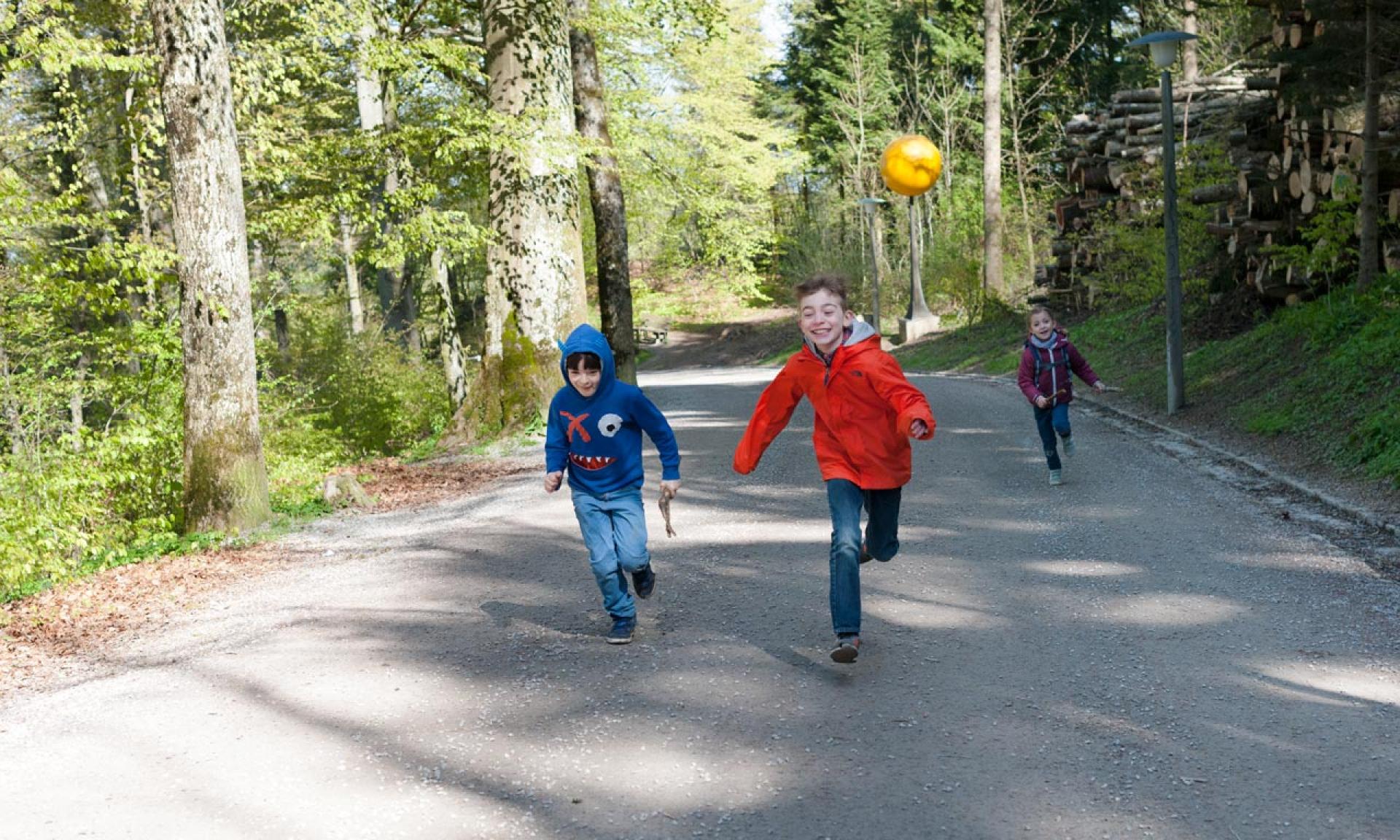 Planetenweg vom Uetliberg zur Felsenegg