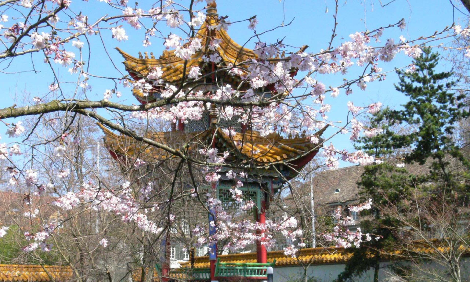 Der Chinagarten ist ein Geschenk der chinesischen Partnerstadt Kunming