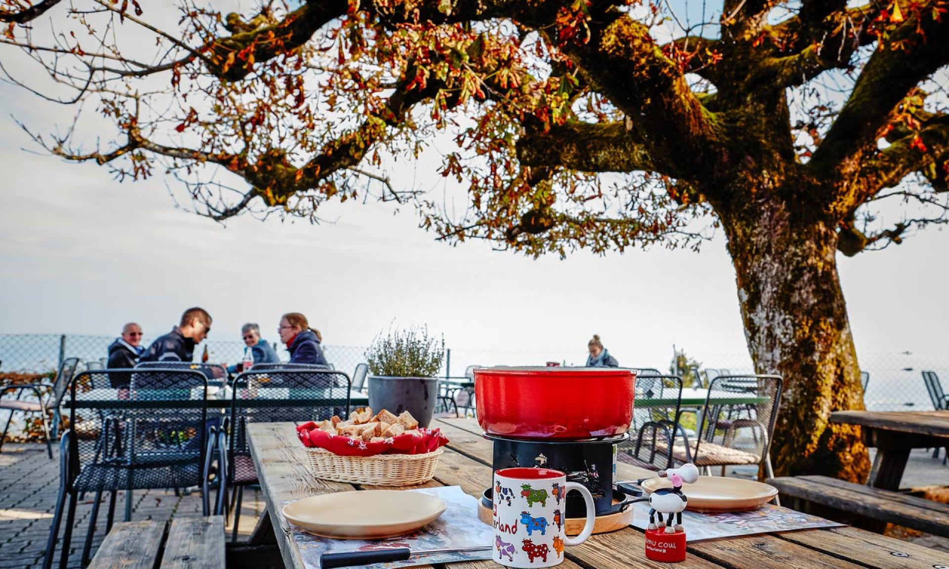Zurigo Ristorante Panoramica Felsenegg