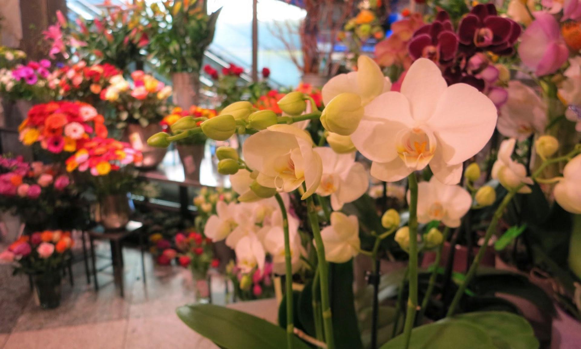 Blumen Krämer, flower store at Zurich’s Main Train Station