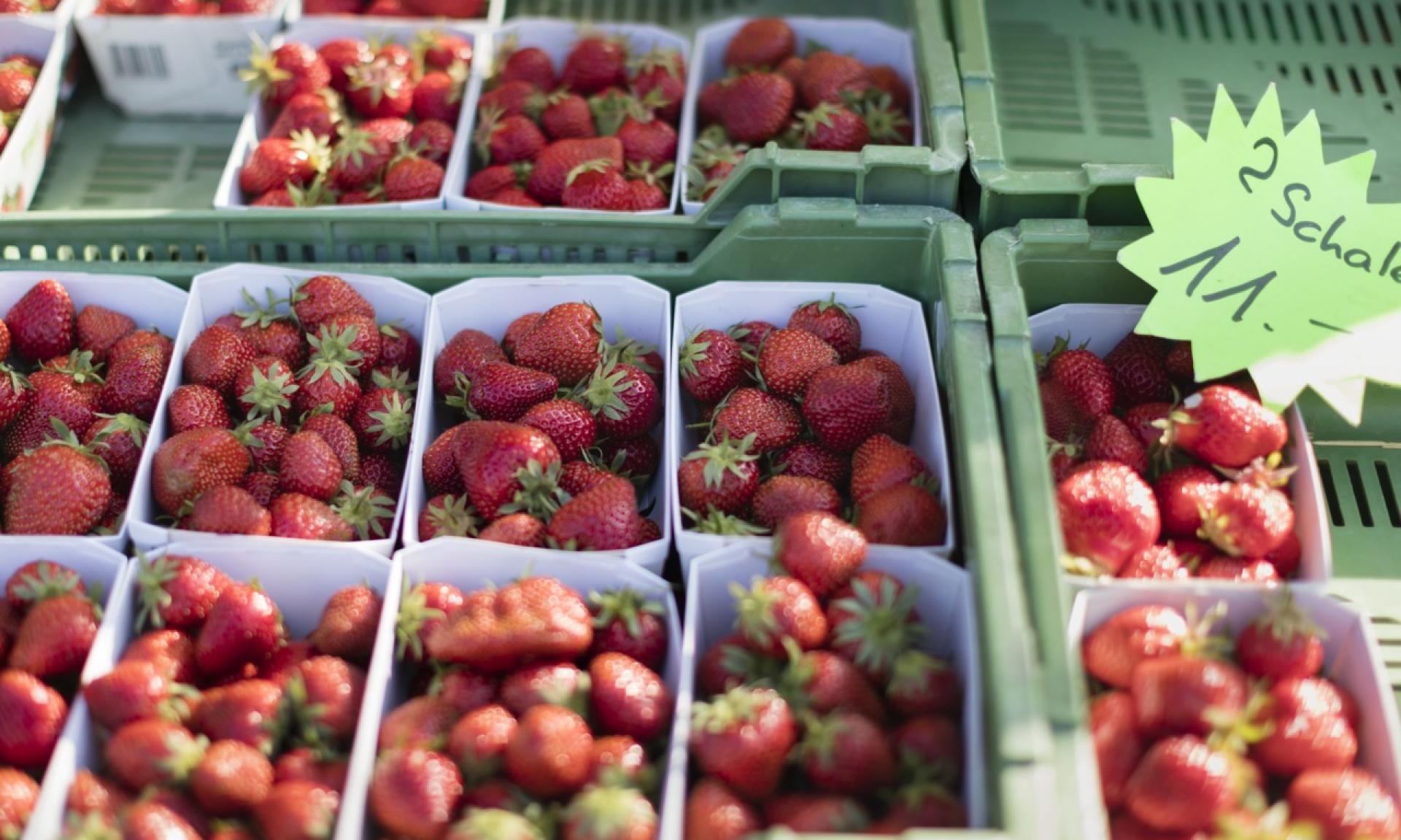 Market at Helvetiaplatz, Zurich