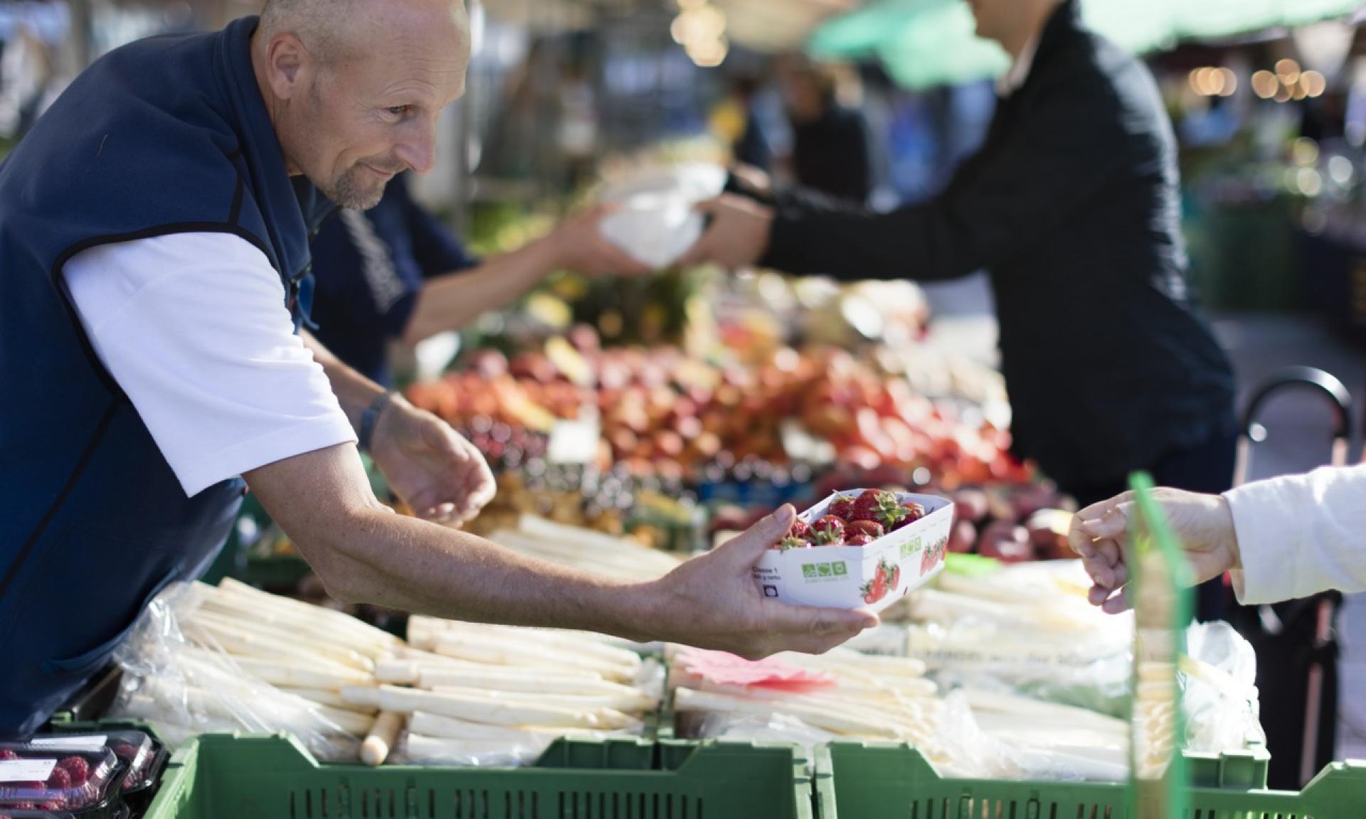 Market at Helvetiaplatz, Zurich