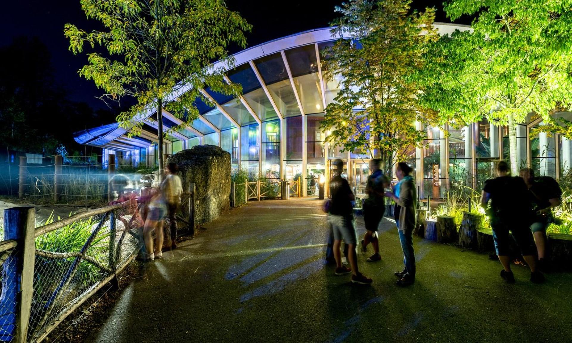 Kaeng Krachan Elefantenpark