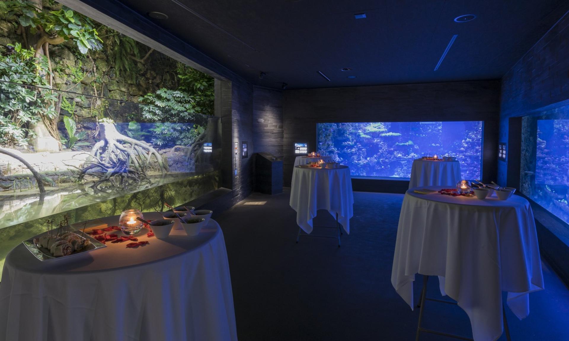 Aquarium