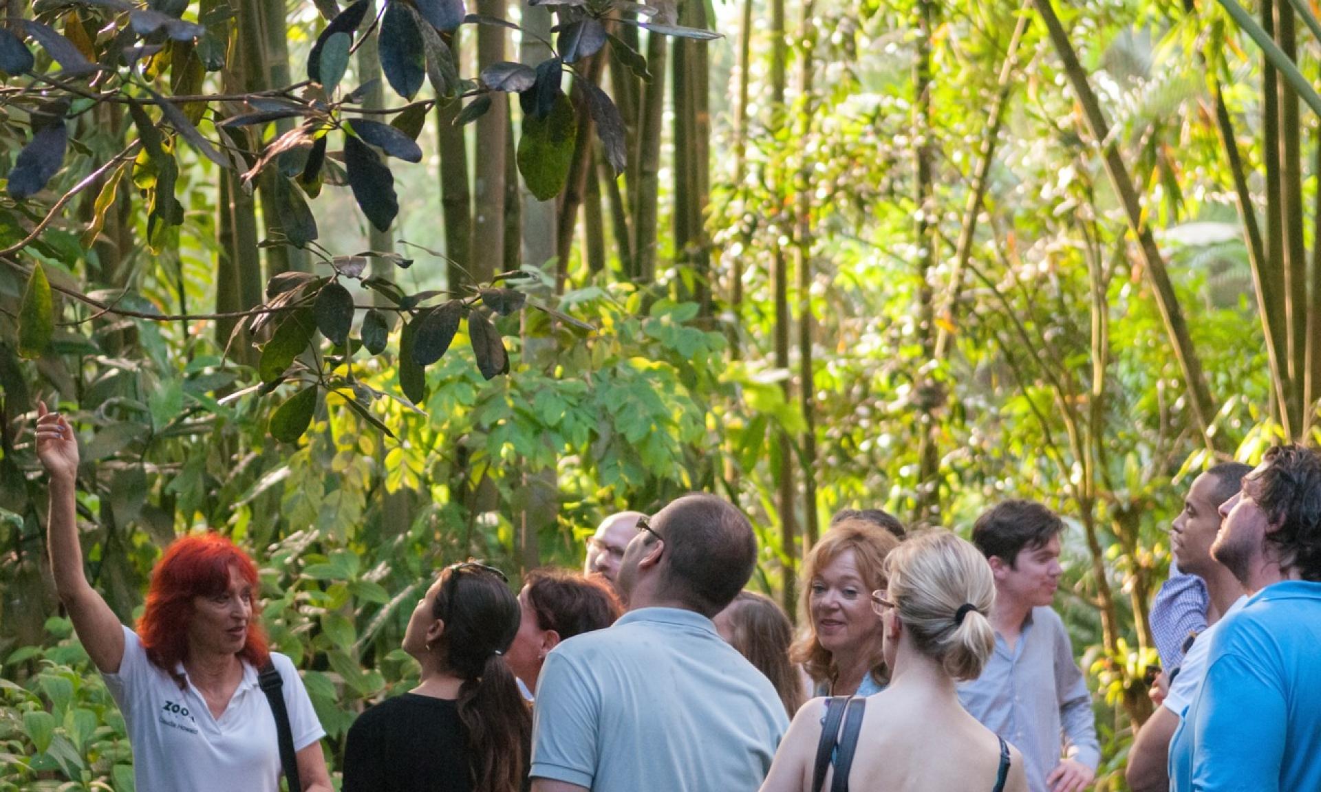 Masoala Rainforest