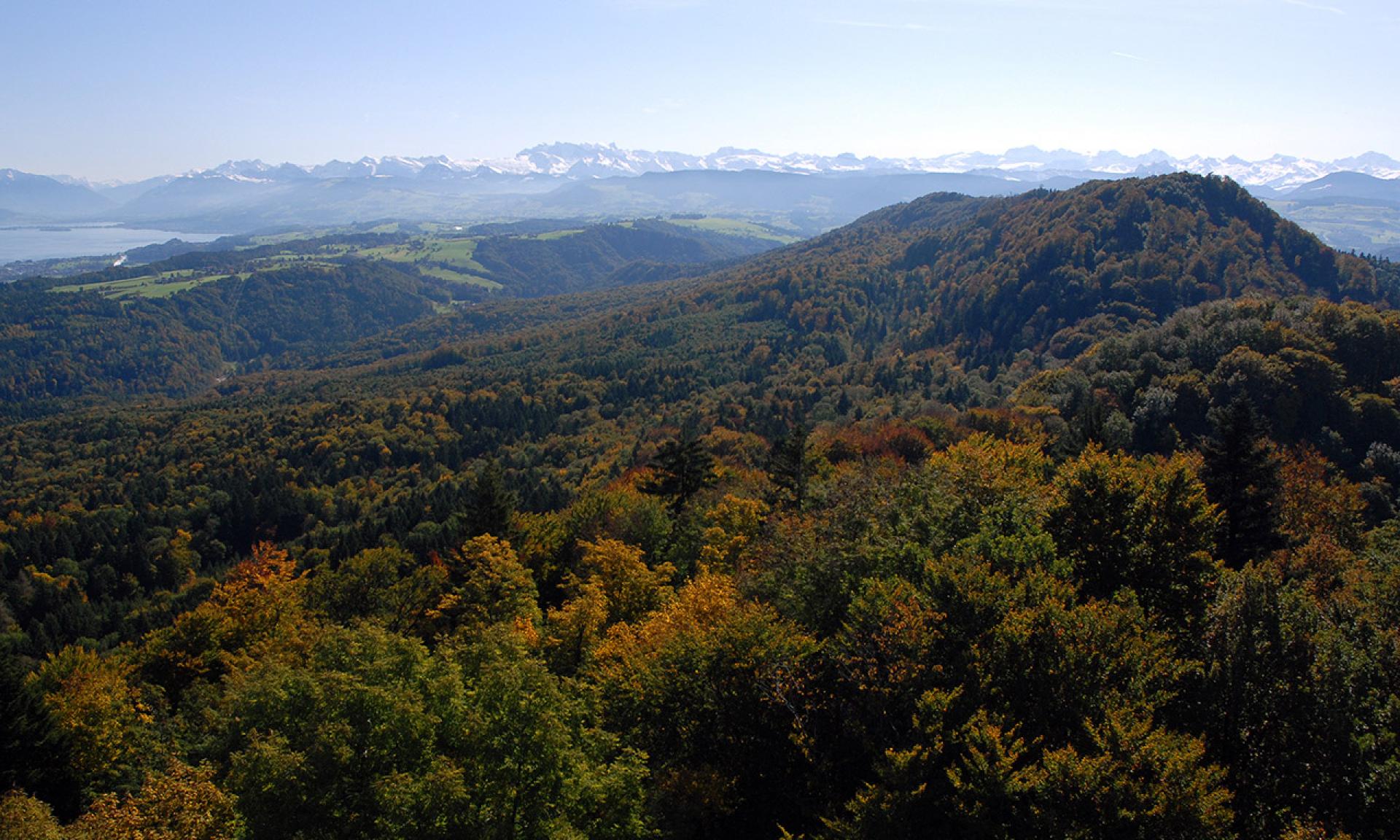 Sihlwald Zürich, Schweizer Nationalpark