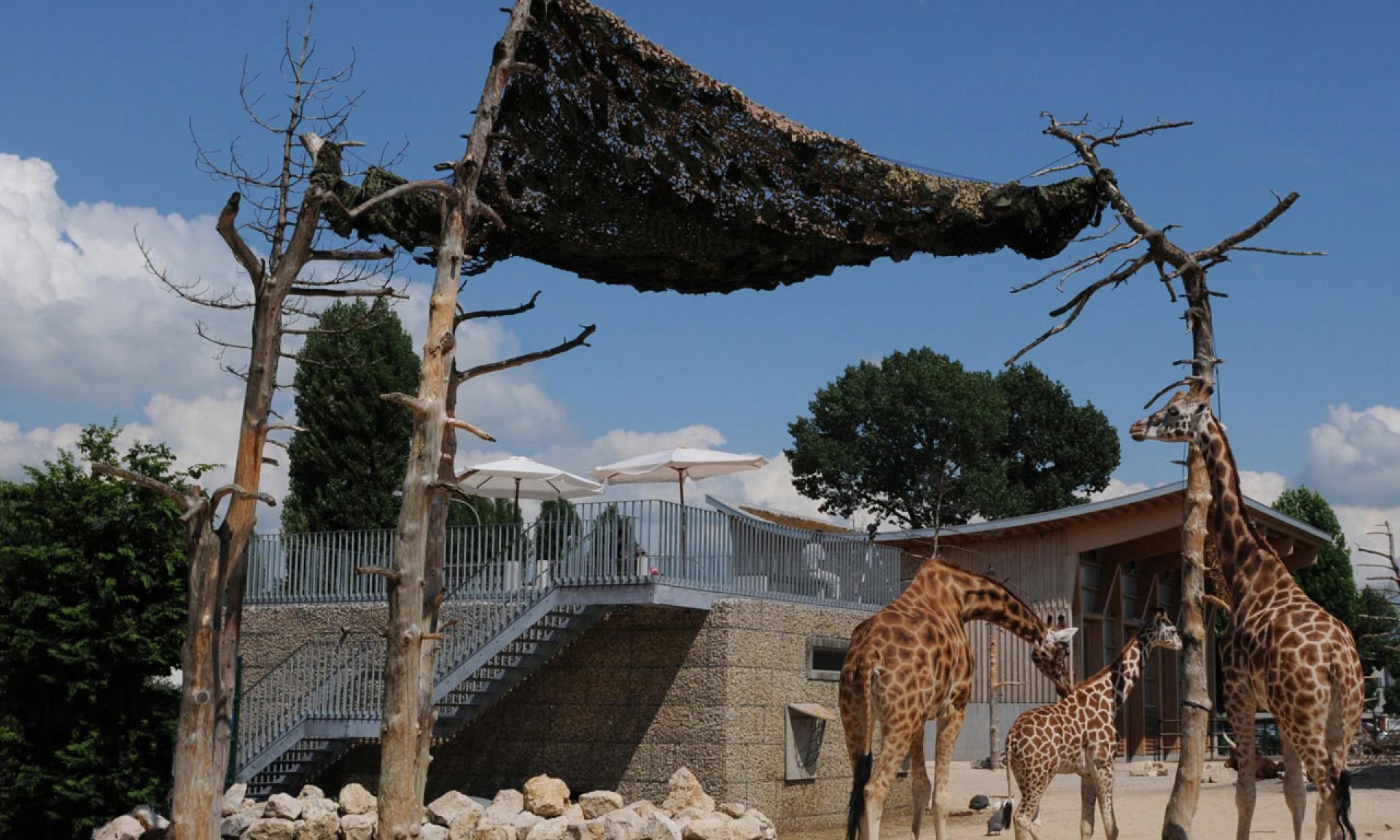 Knies Kinderzoo