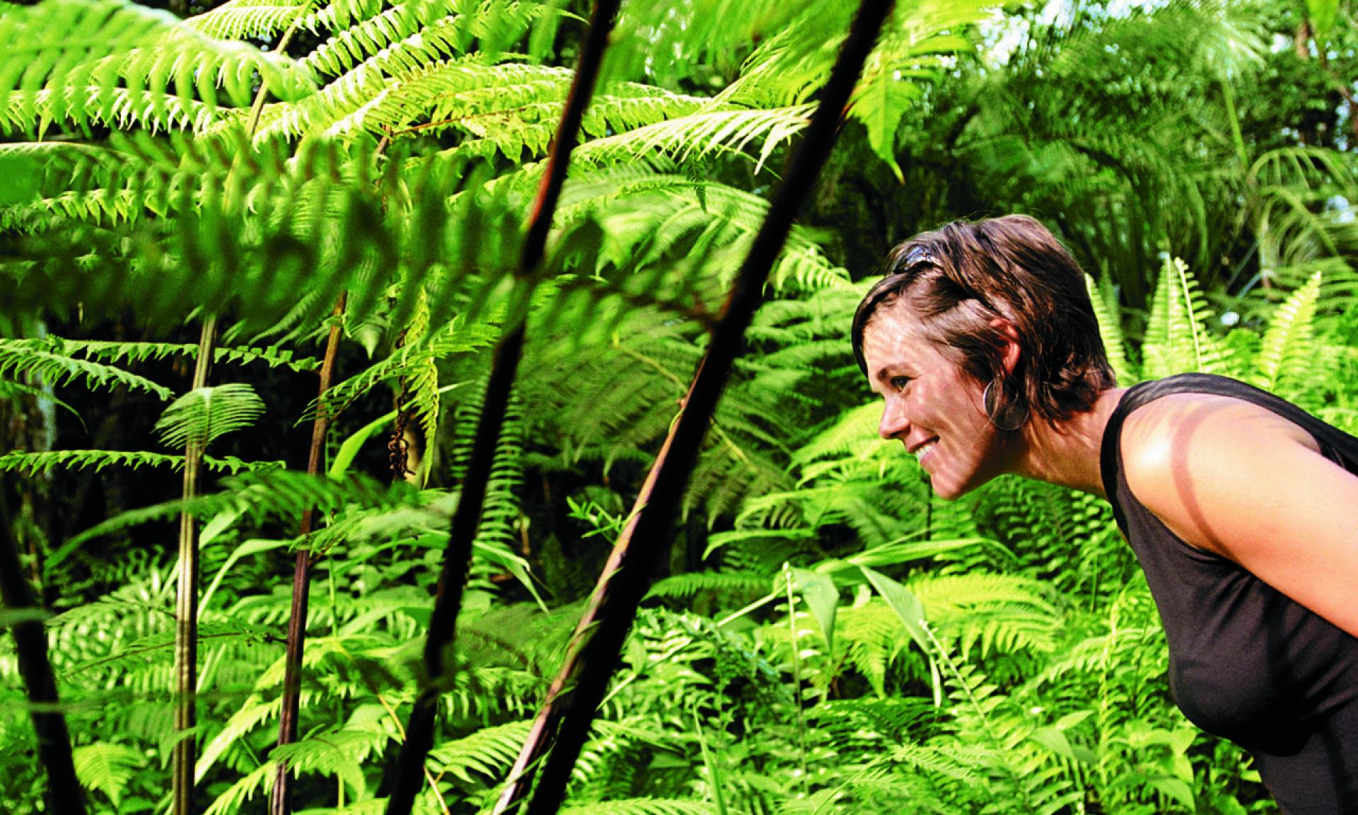 Masoala Rainforest