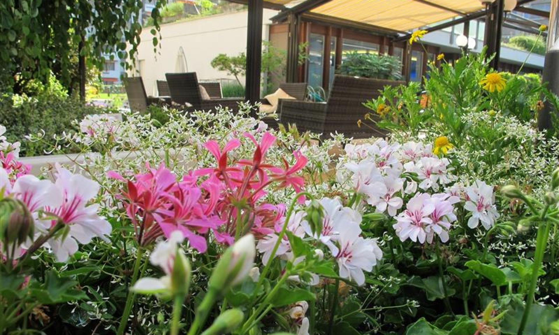 garden Hotel Crowne Plaza Zurich