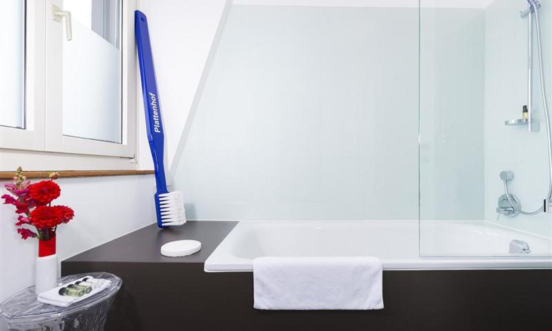Bath Designhotel Plattenhof