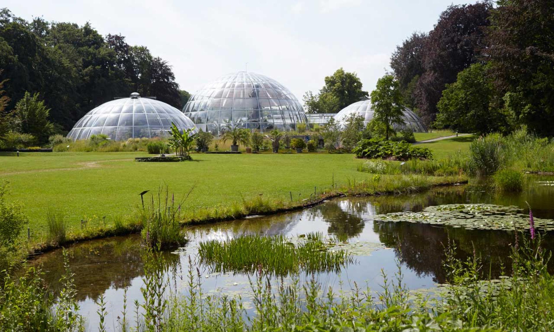 Botanischer Garten, Zürich