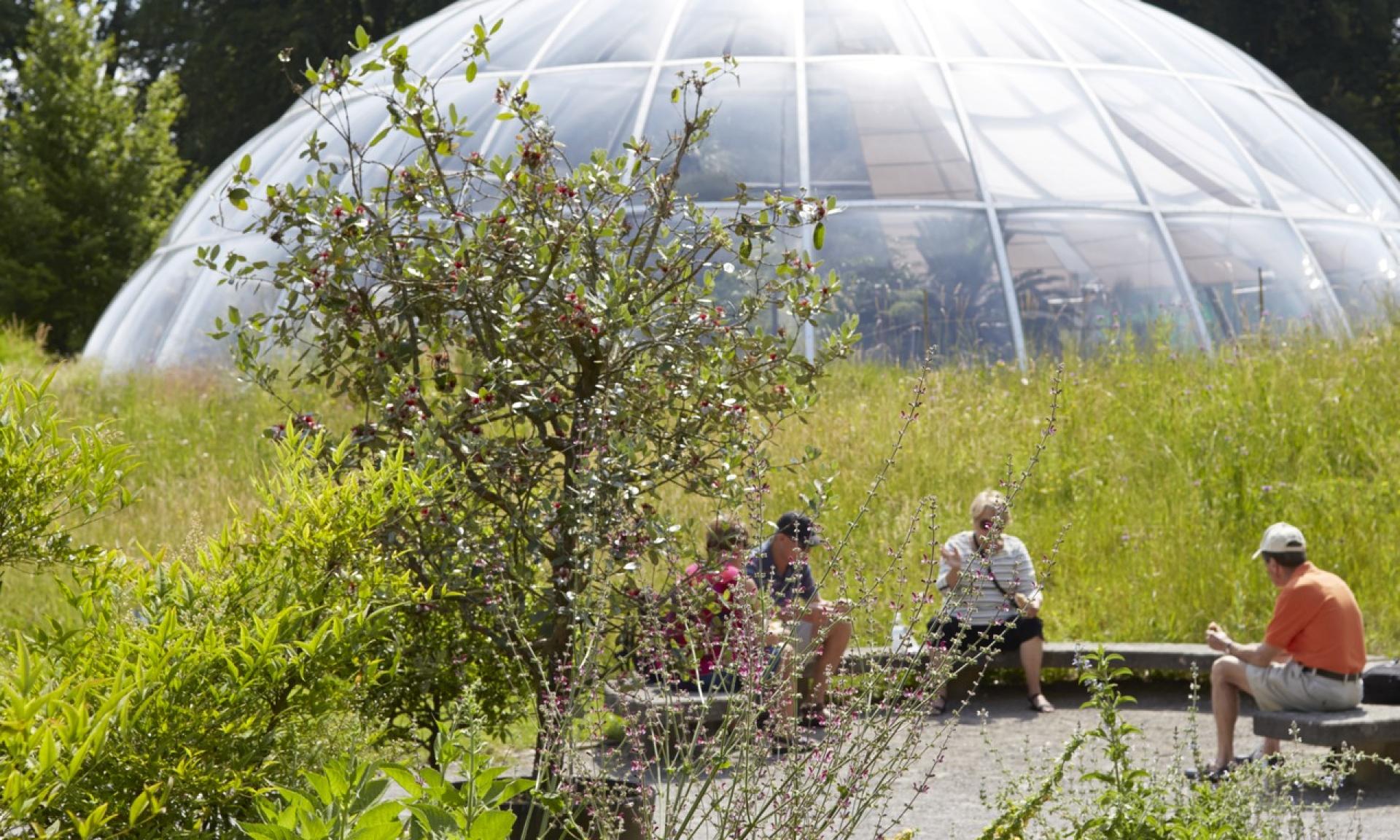 Entspannen im Botanischen Garten