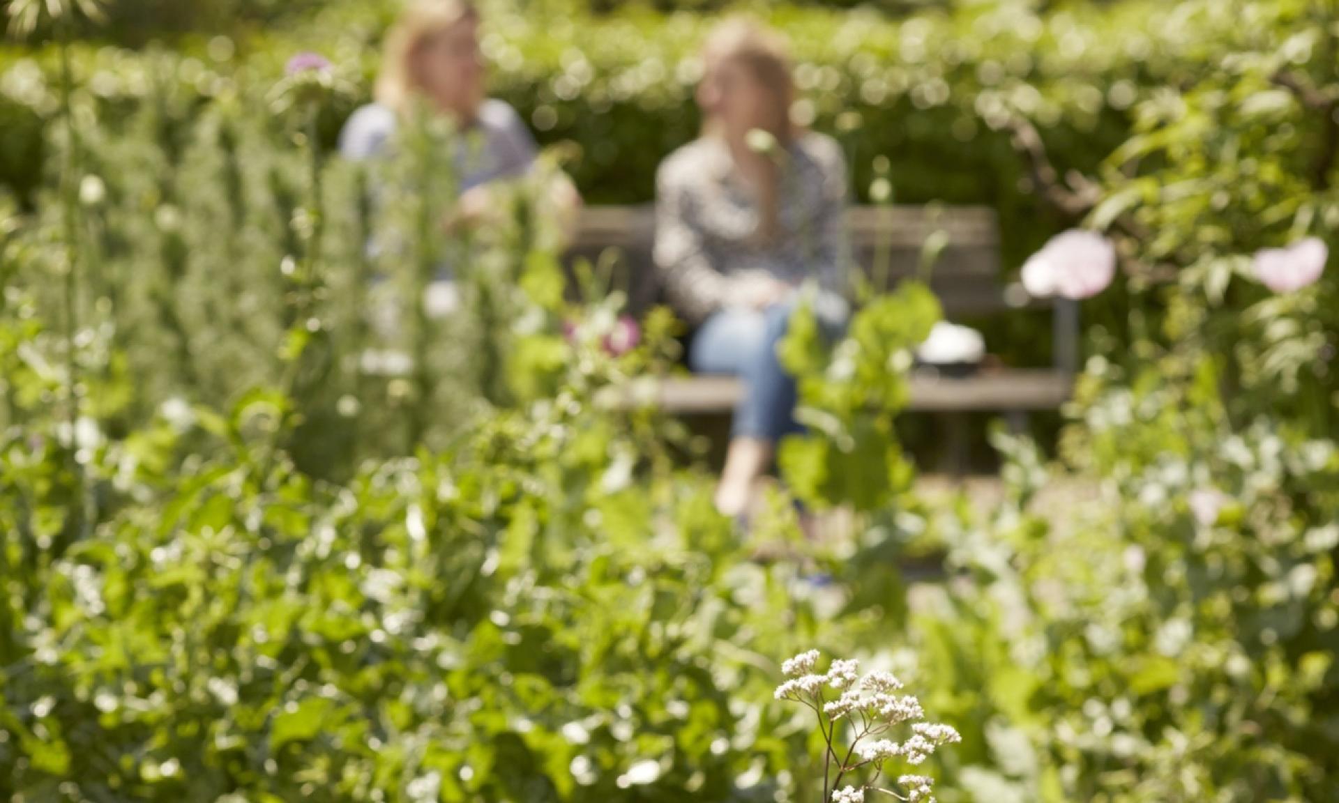 Geniessen Sie den Botanischen Garten mitten in der Stadt Zürich