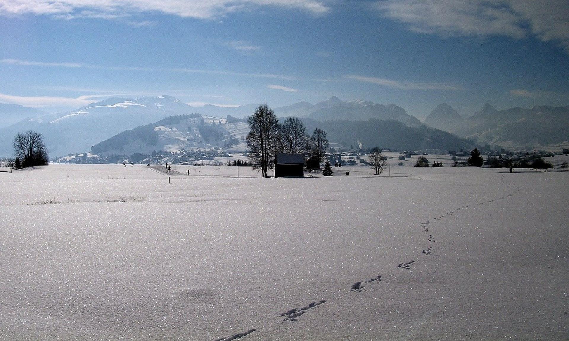 Winter landscape