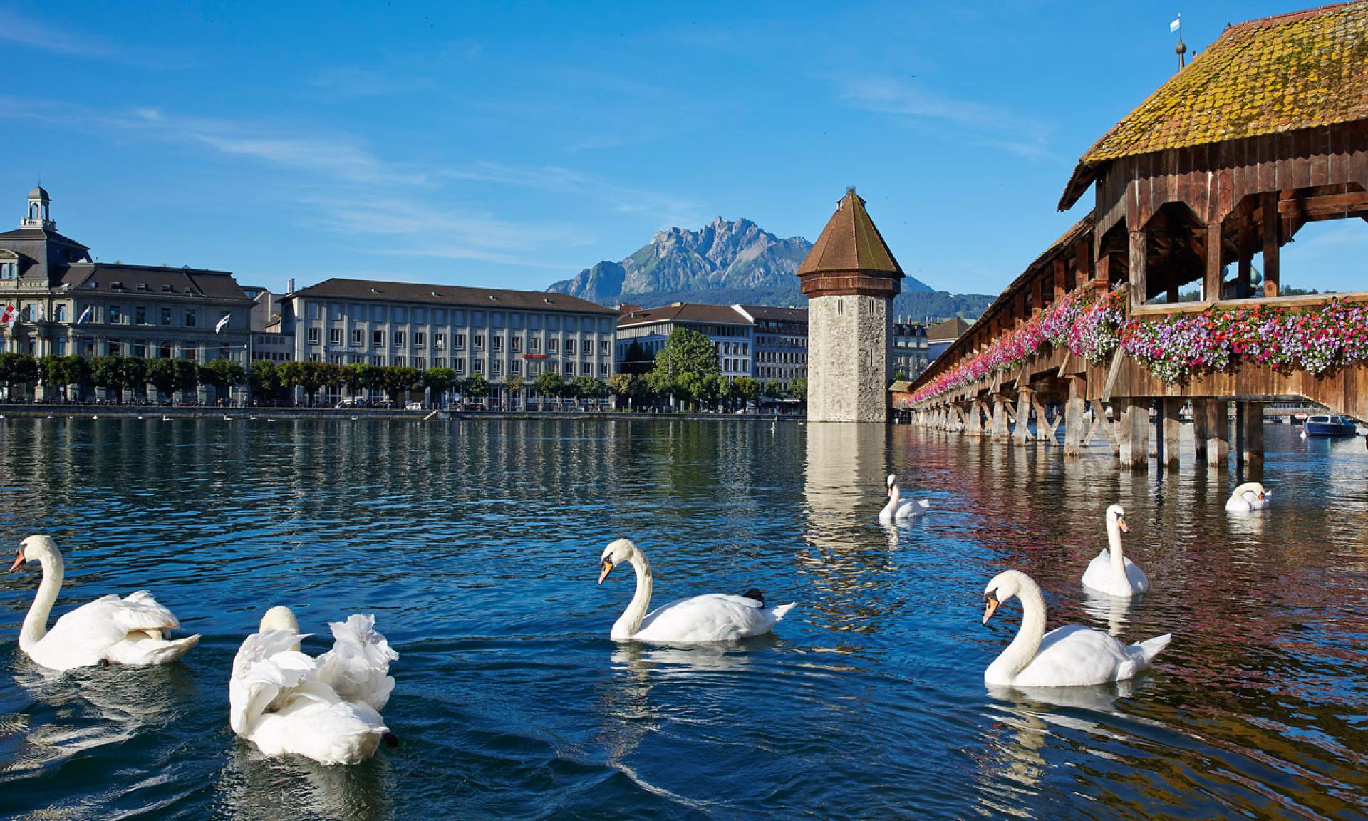 Luzern
