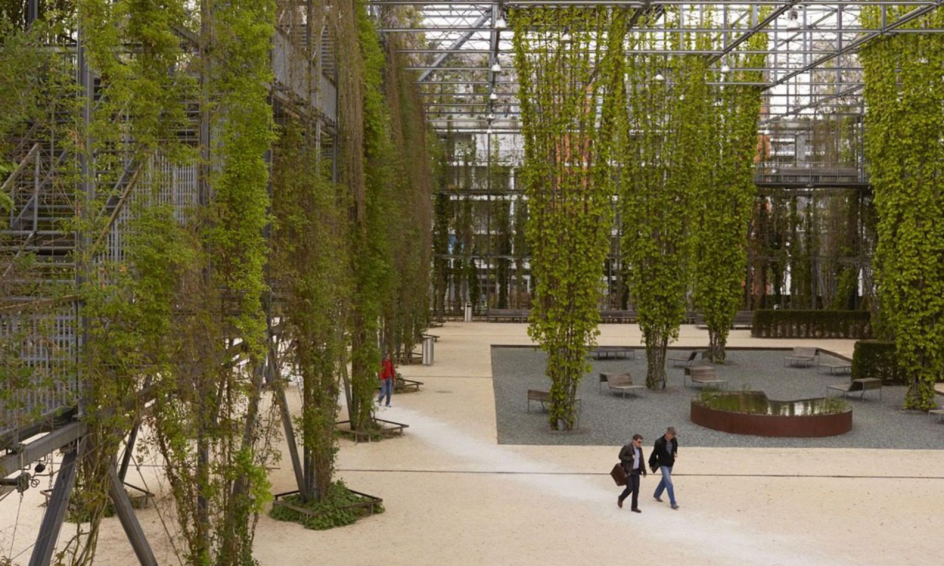 Parc MFO