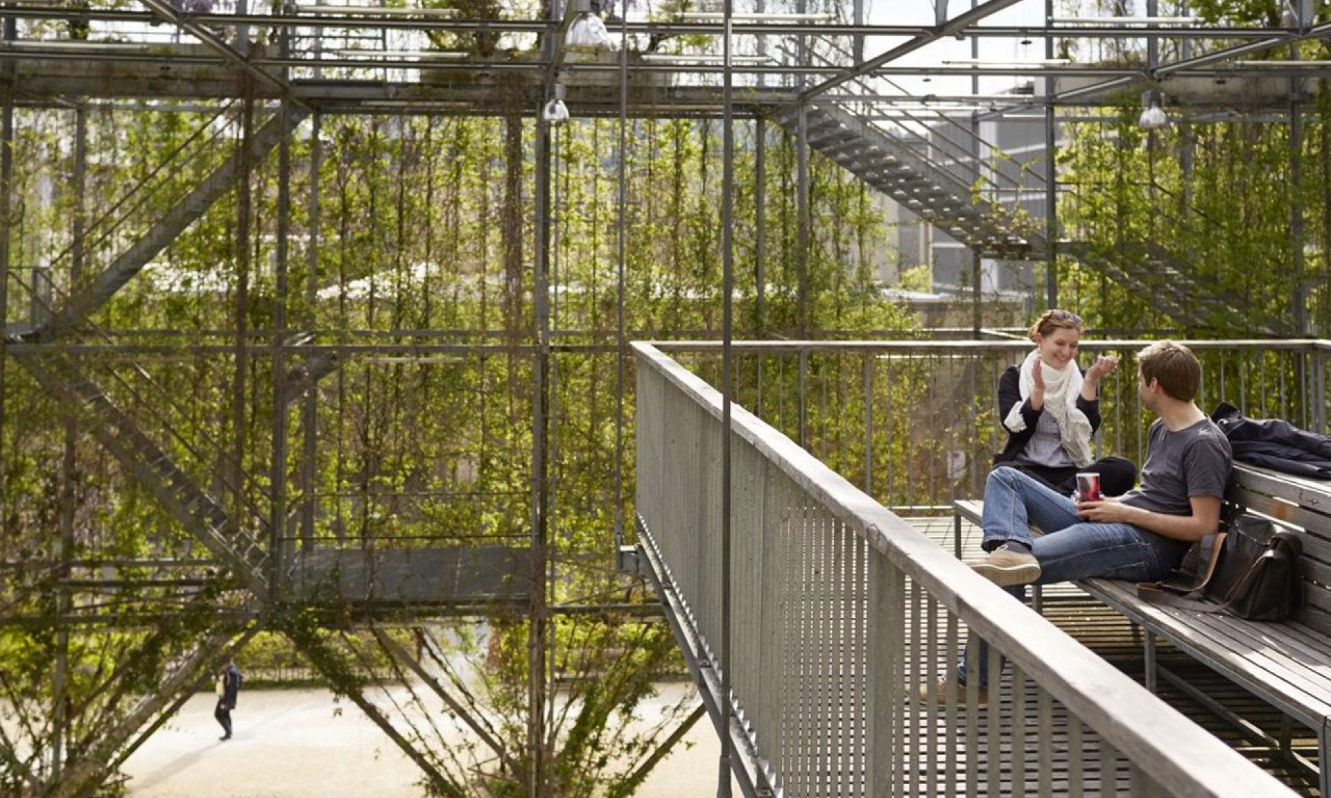 Parc MFO