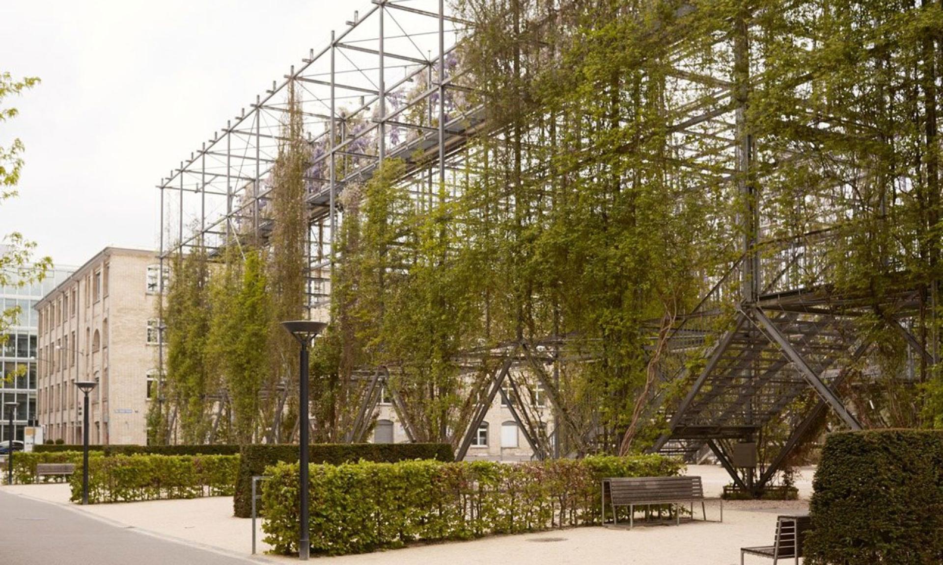 Parc MFO