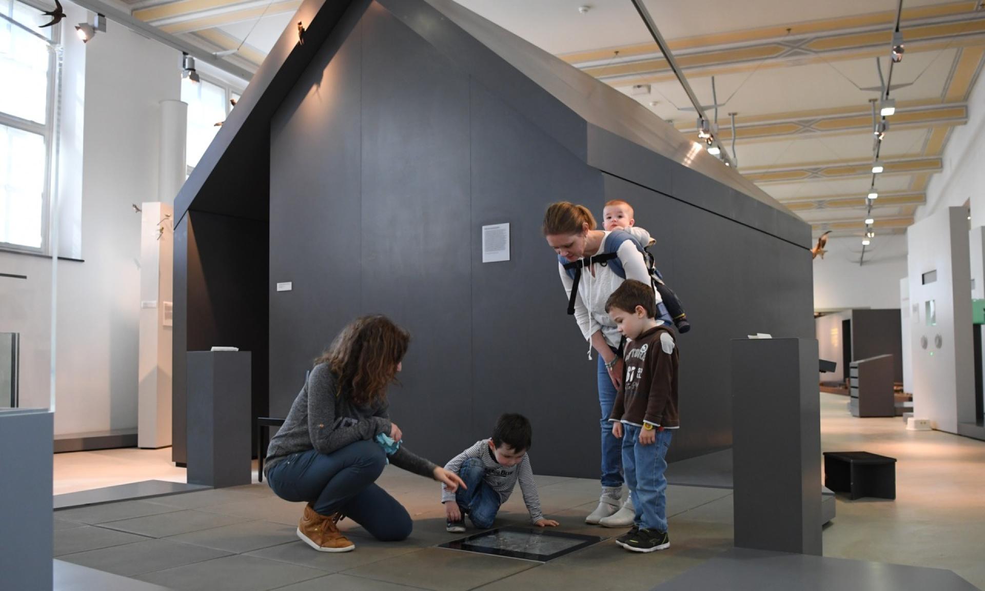 Accompanied on a tablet by Harry Hammer – a virtual paleontologist – who guides them from one station to the next