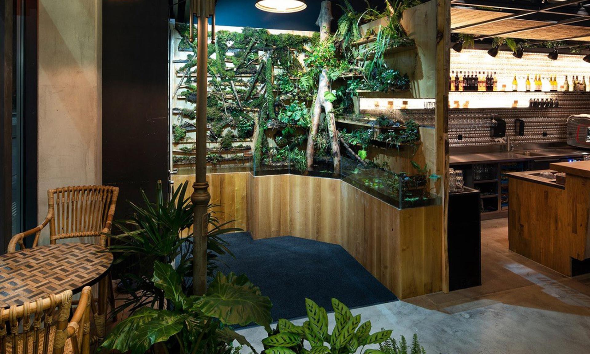Nooch Asia Kitchen