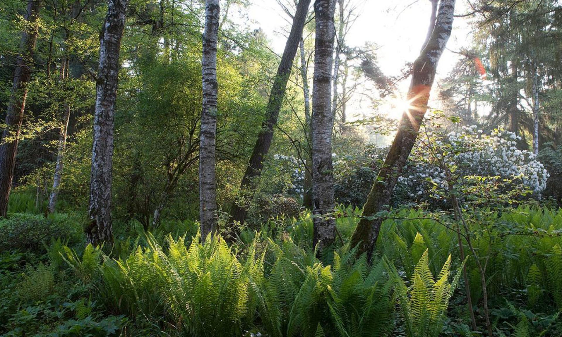 Park Seleger Moor