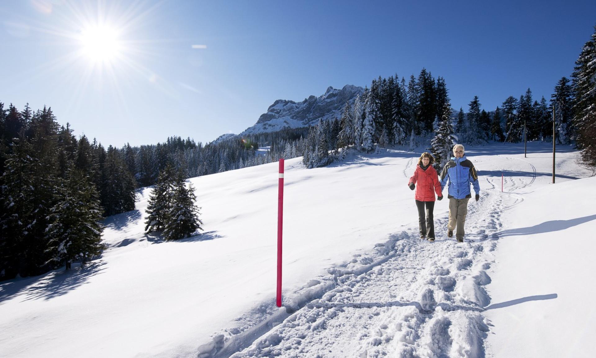 Winterwandern, Schneeschuhtouren oder ein romantischer Winterspaziergang