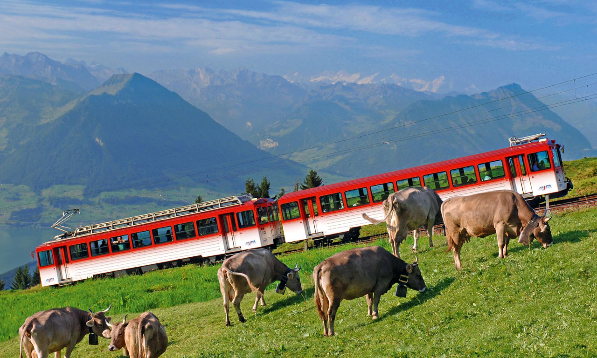 Rigi