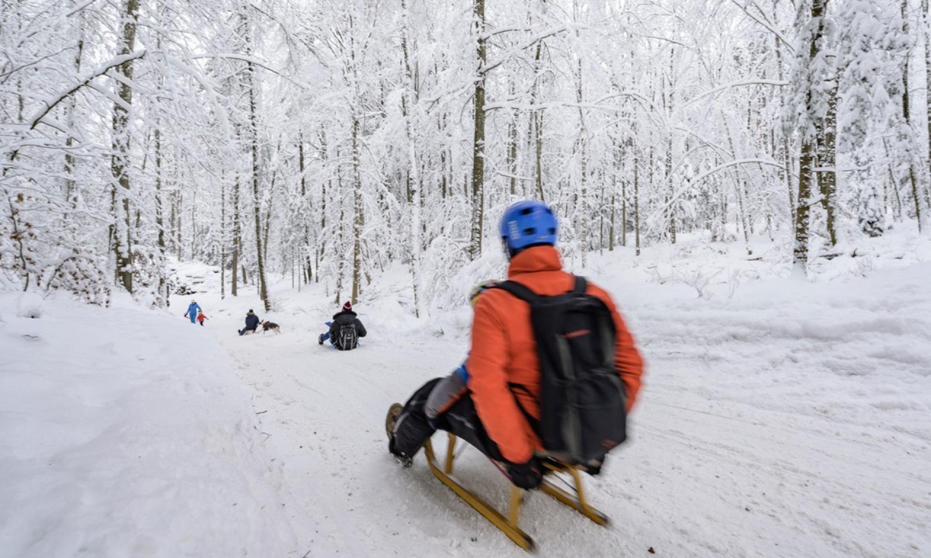Tobogganing on the Uetliberg, Zurich