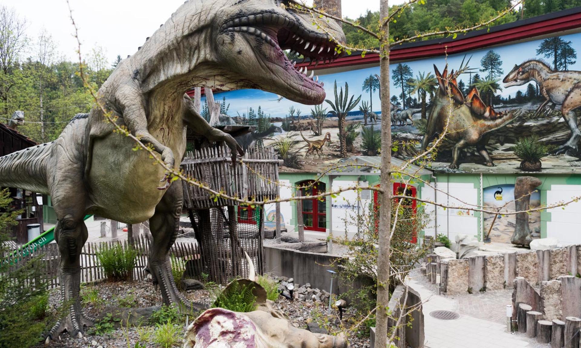 Des reconstitution fascinantes au musée des dinosaures Aathal 