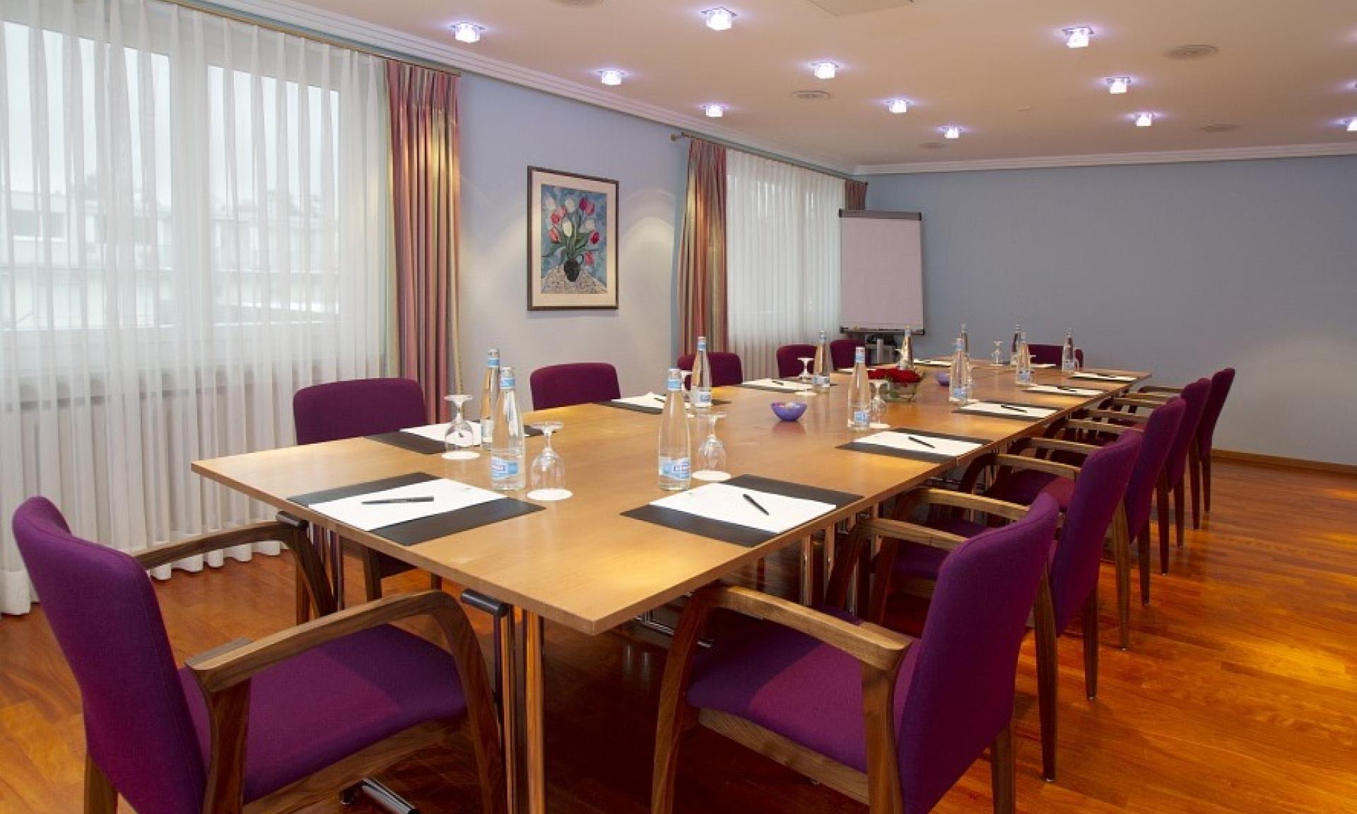Hotel Engimatt - seminar room
