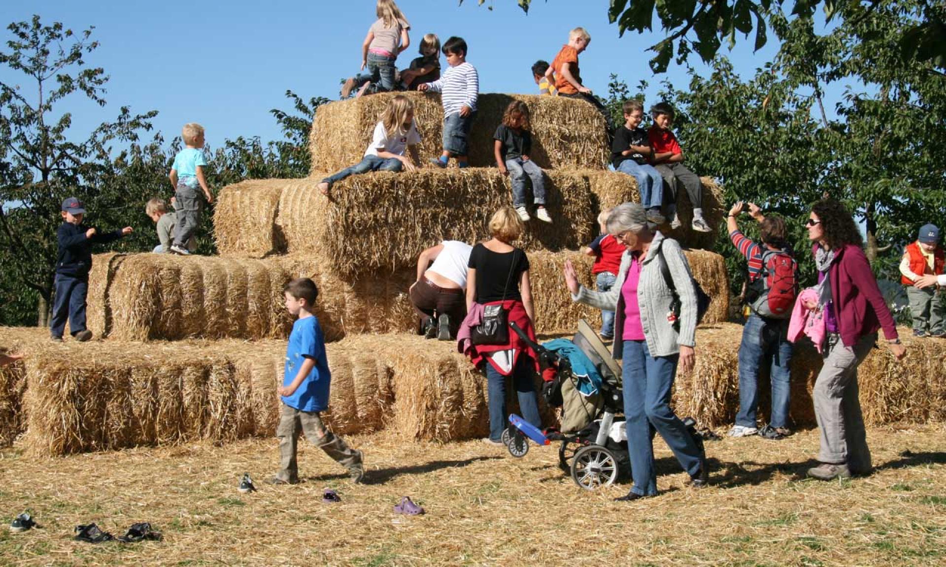 Climbing on Bales of Hay on the Jucker Farm