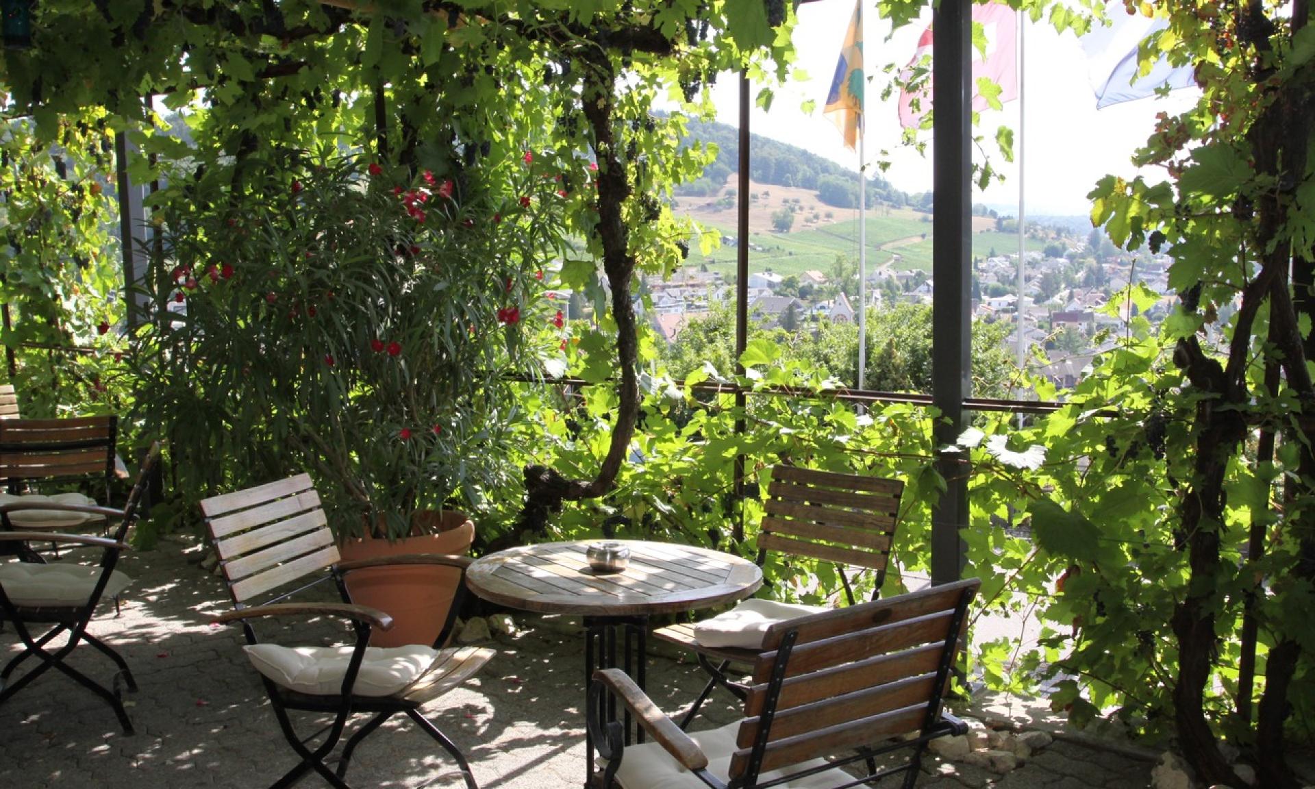 Winzerhaus, Terrace