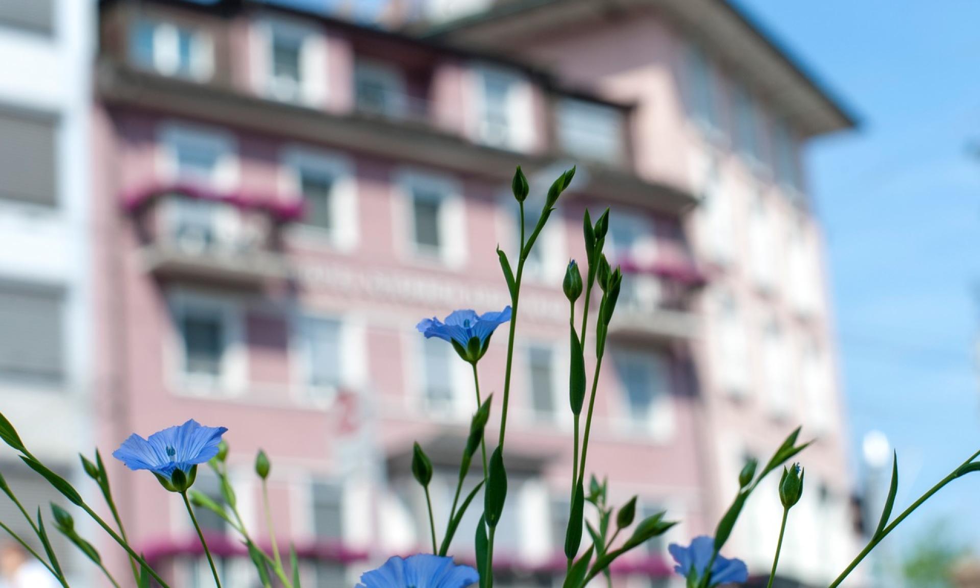 Hotel Sternen Oerlikon, Aussenansicht
