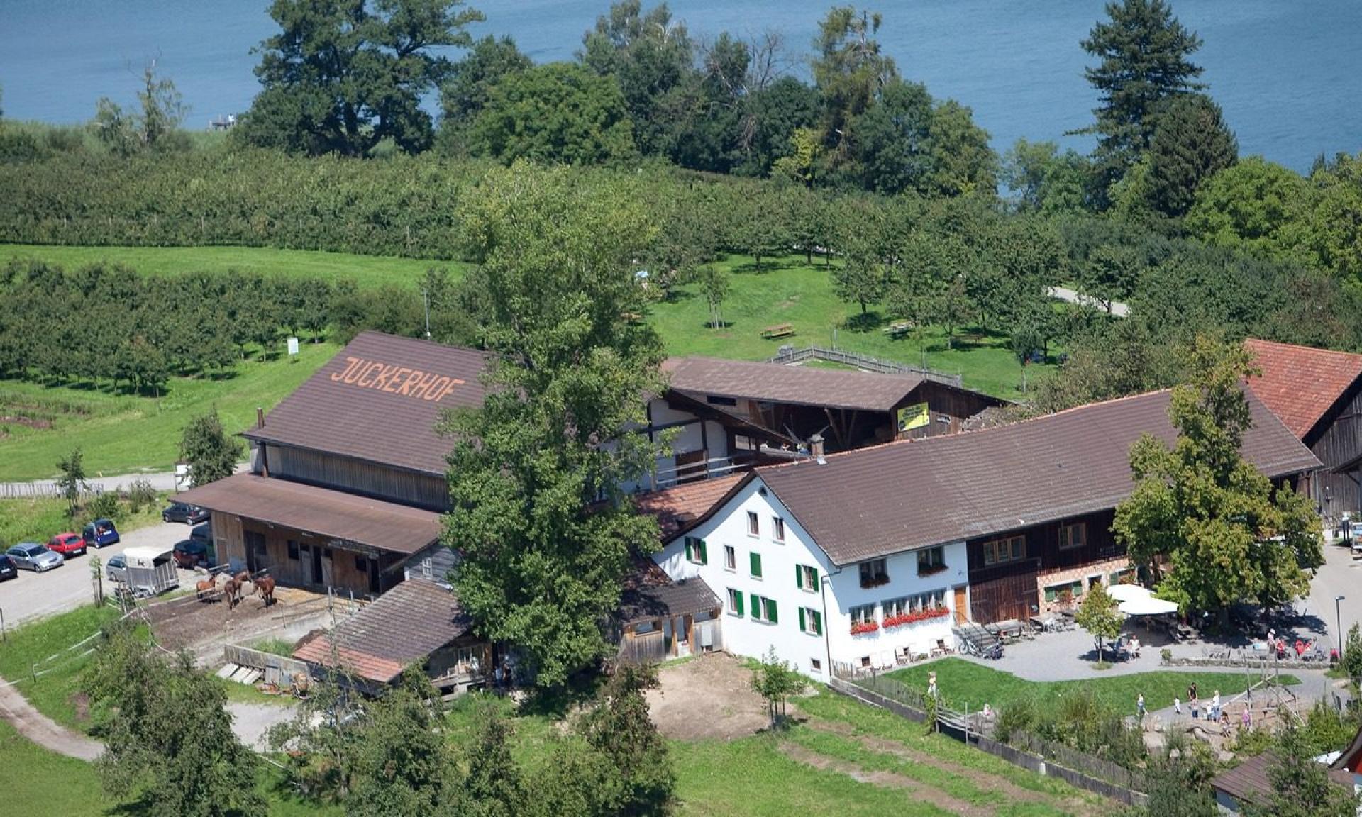 Juckerhof Seegräben