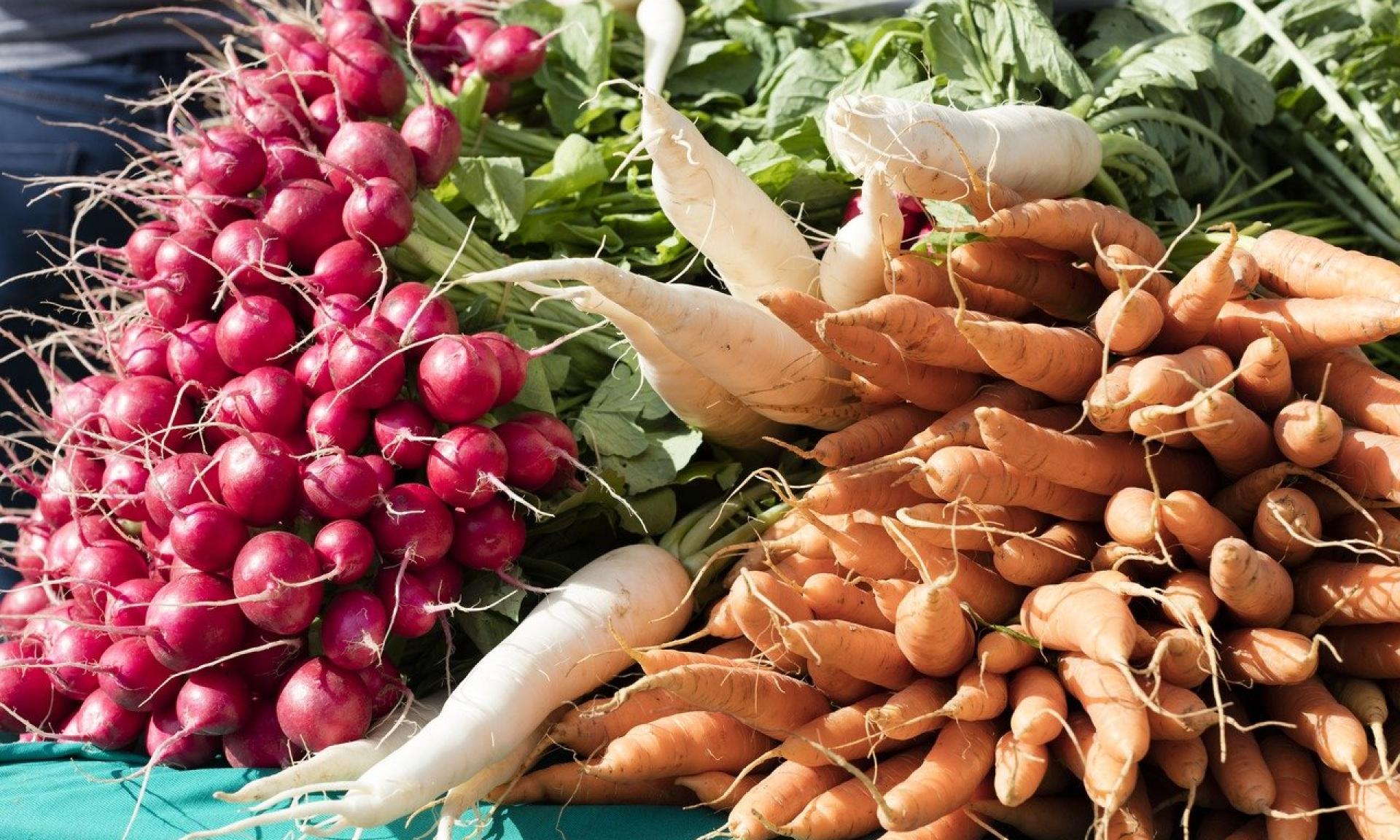 Weekly Market in Altstetten, Zurich