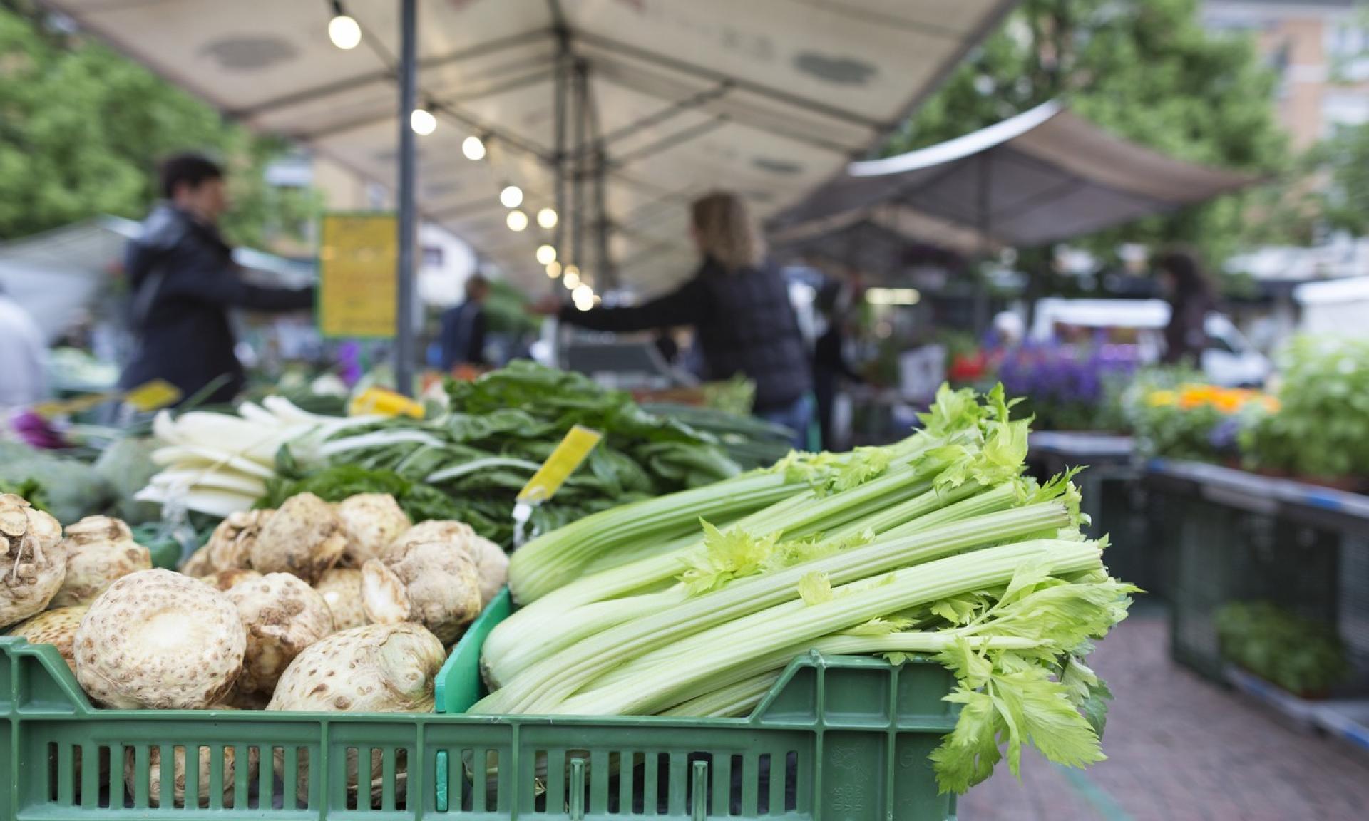 Market Oerlikon