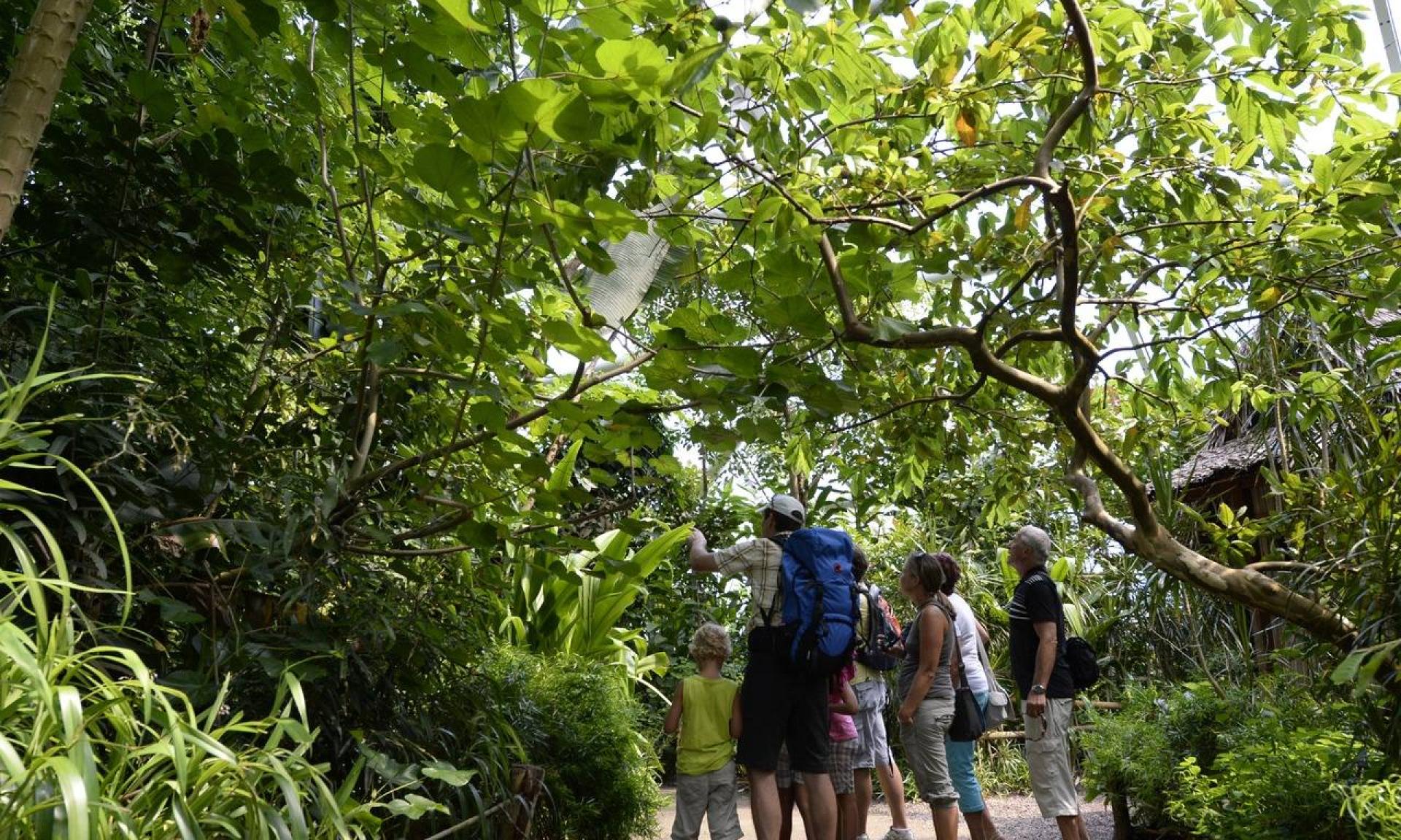 Masoala Rainforest