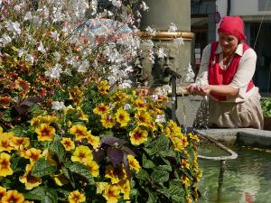 Schaffhauserland Tourismus, Führung Brunnenkönig