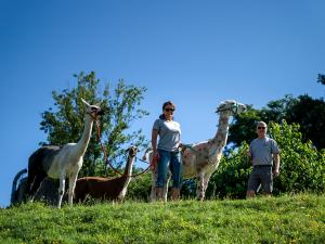 Lama Trekking
