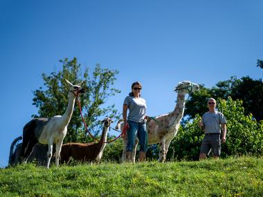 Lama Trekking