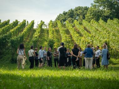Weintour Landolt